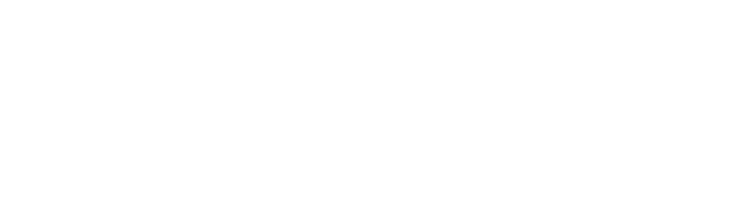 logo bsh